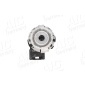 AIC 53499