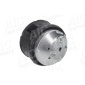 AIC 50437