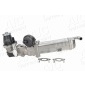 56935 EGR Module
