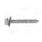 AIC 53098