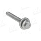 AIC 53098