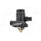 58061 Thermostat, coolant