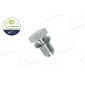 51791 AIC Screw Plug, oil sump