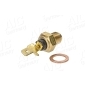 52029 AIC Sensor, oil temperature