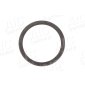 55465 AIC Sensor Ring, ABS