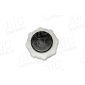 55733 AIC Cap, coolant tank