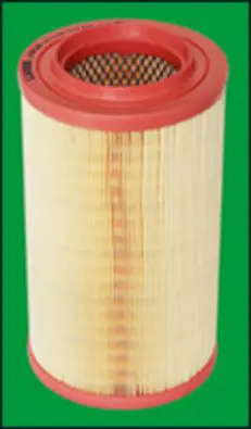 LFAF289 