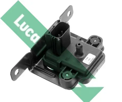  LUCAS 