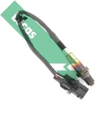 LEB5308 