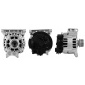 LUCAS LRA02892