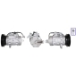 LUCAS ACP01118