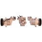 LUCAS ACP01044