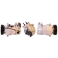 LUCAS ACP01004