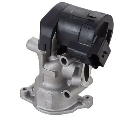 MAGNETI MARELLI 571822112098 Клапан возврата ОГ