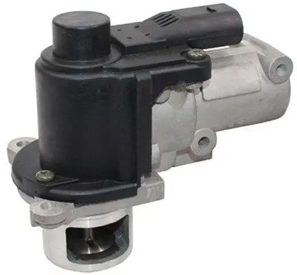 MAGNETI MARELLI 571822112083 Клапан возврата ОГ