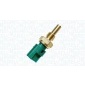 MAGNETI MARELLI 171916011170