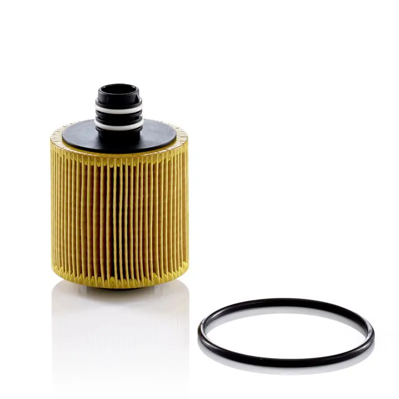 MANN-FILTER HU8006Z Фильтр масляный Alfa Romeo