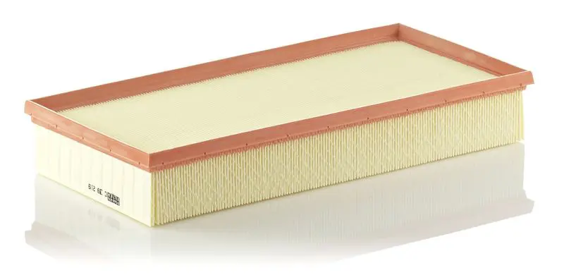 MANN-FILTER C39219 Фильтр воздушный C39219