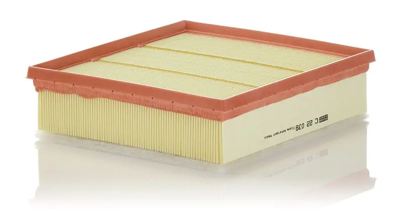 MANN-FILTER C22039 Фильтр воздушный