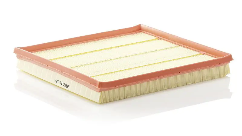 MANN-FILTER C28125 Воздушный фильтр C28125