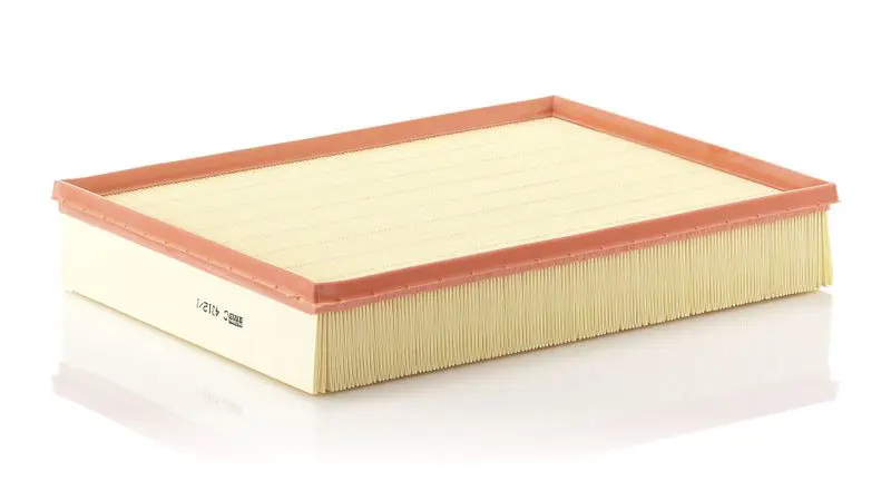 MANN-FILTER C43121 Фильтр воздушный