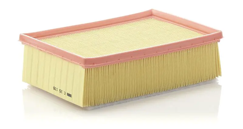 MANN-FILTER C25136 LUFTFILTER