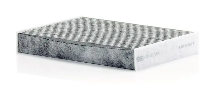 MANN-FILTER CUK27009 Фильтр салона RENAULT Scenic
