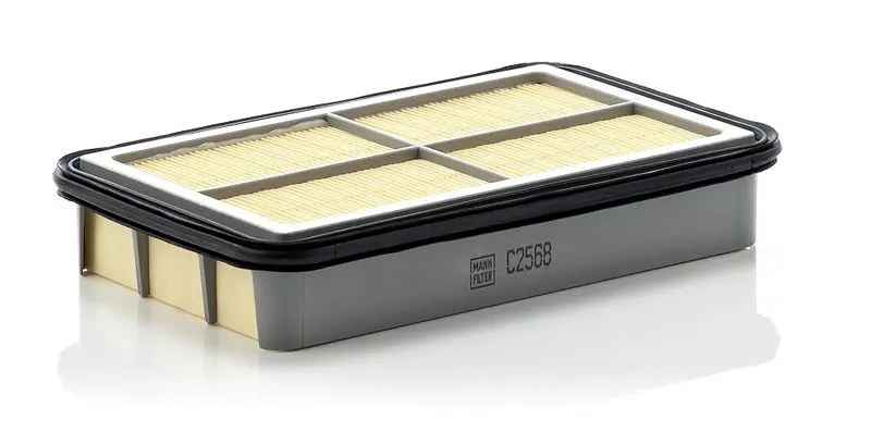 MANN-FILTER C2568 Фильтр воздушный