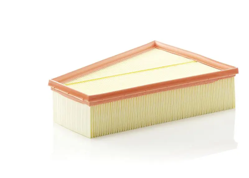 MANN-FILTER C30161 Фильтр воздушный C30161
