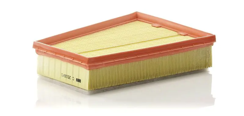MANN-FILTER C25101 LUFTFILTER