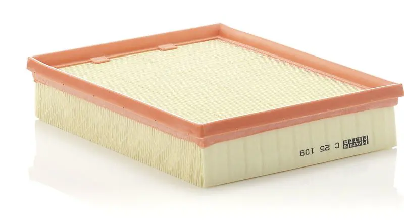 MANN-FILTER C25109 Фильтр воздушный