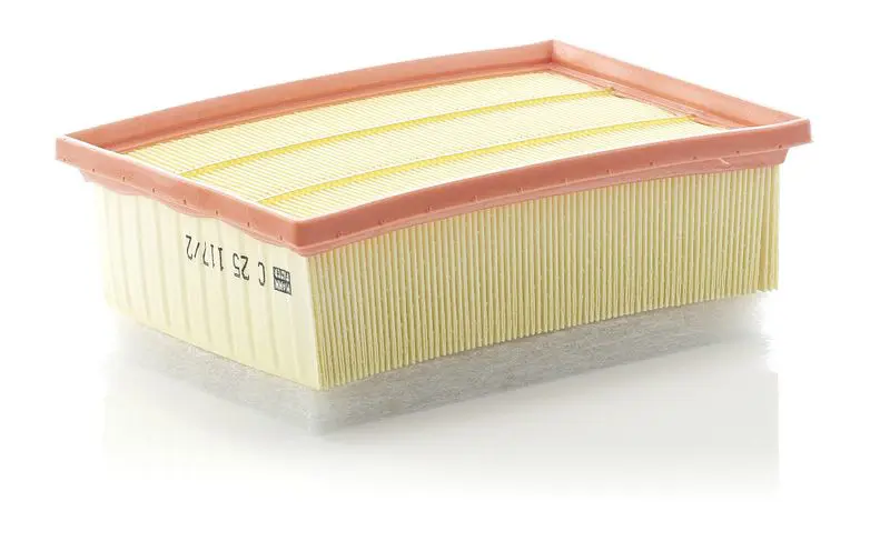 C25117/2 MANN-FILTER LUFTFILTER