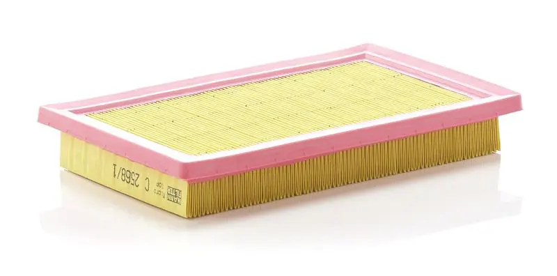 MANN-FILTER C25681 LUFTFILTER