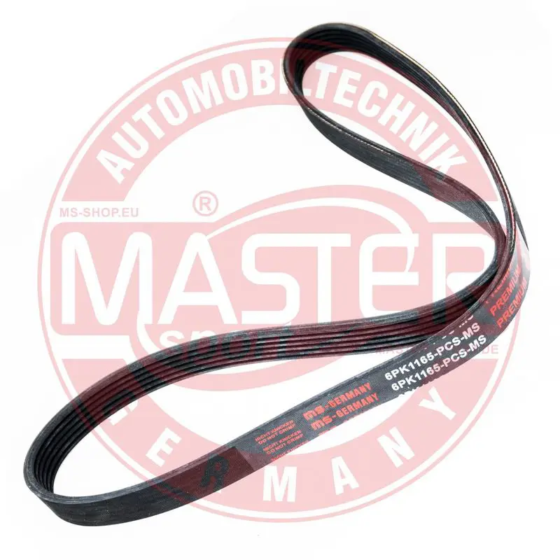 6PK1165PCSMS 