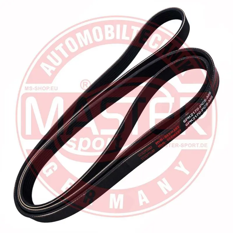 6PK2170PCSMS 