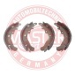 03013704412SETMS 