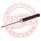 MASTER-SPORT 313252PCSMS