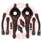 36882KITMS MASTER-SPORT 