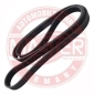 MASTER-SPORT 6PK1743PCSMS