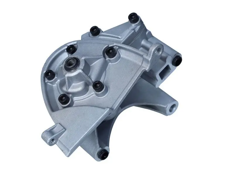 MAXGEAR 420050 Oil Pump