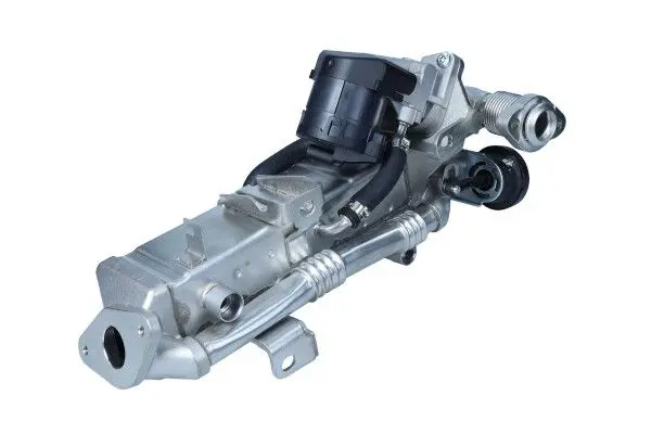 MAXGEAR 274135 Cooler, exhaust gas