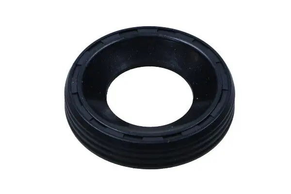 MAXGEAR 700109 Прокладка, корпус форсунки