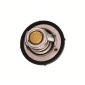670047 Thermostat, coolant