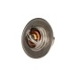 670077 Thermostat, coolant