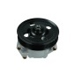 480160 MAXGEAR Hydraulic Pump, steering