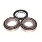 330099 Wheel bearing kit