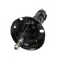 111499 Shock Absorber