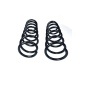 601080D Suspension Spring