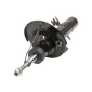 111397 Shock Absorber