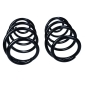 601490D Suspension Spring